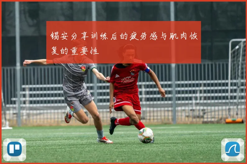 锡安分享训练后的疲劳感与肌肉恢复的重要性